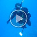 dive_video_roatan_2005_09