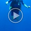 dive_video_roatan_2005_11