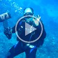 dive_video_roatan_2005_14