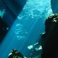 PlayaDelCarmen-Cenote-2008-009