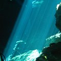 PlayaDelCarmen-Cenote-2008-010