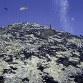 St Martin_0036