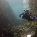 2011-11-19 St Martin - Porpoise - That Confounded Bridge_02