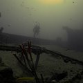 2011-11-19 St Martin - Porpoise - That Confounded Bridge_08