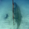 2011-11-19 St Martin - Porpoise - That Confounded Bridge_12