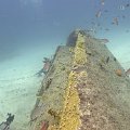 2011-11-19 St Martin - Porpoise - That Confounded Bridge_13