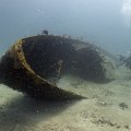 2011-11-19 St Martin - Porpoise - That Confounded Bridge_14
