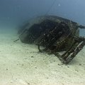 2011-11-19 St Martin - Porpoise - That Confounded Bridge_16