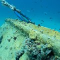 2011-11-19 St Martin - Porpoise - That Confounded Bridge_18
