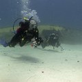 2011-11-19 St Martin - Porpoise - That Confounded Bridge_20