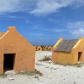 Bonaire - Monday 121-PANO