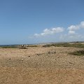 IMG_0568