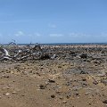 IMG_0579