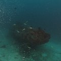 TugBoat_06