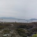 PhonePhotos18