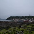 PhonePhotos23