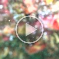 Video_0003