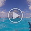 JohnMarcSwimOut