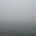 July 6 2008 017
